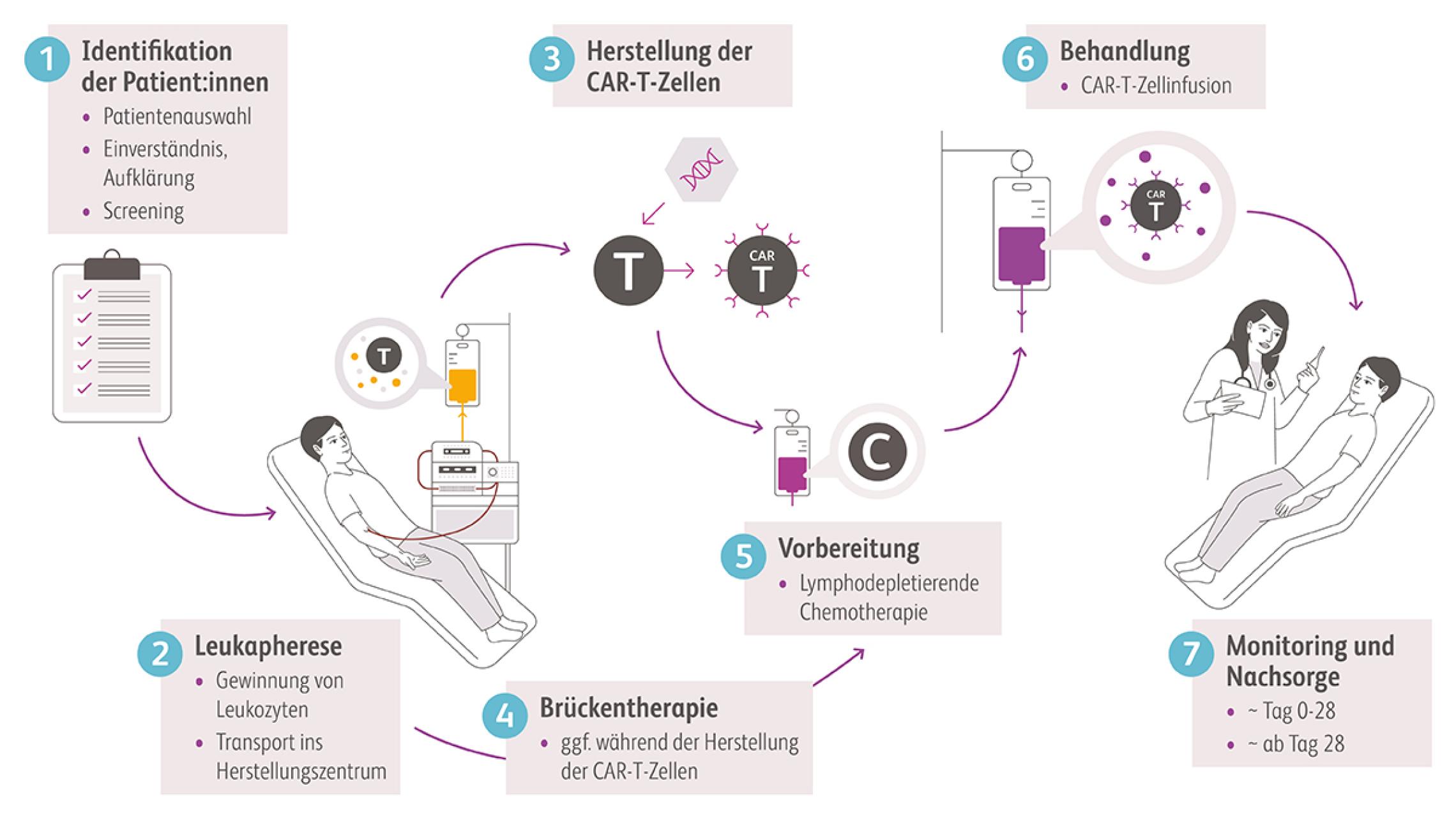 Vor der der Zellinfusion erfolgt die Auswahl geeigneter Patient:innen, die Herstel-lung der antigenspezifischen CAR-T-Zellen, ggf. eine Brückentherapie, sowie eine Lymphodepletion. Nach der Infusion sind eine intensive Überwachung und Thera-pienachsorge erforderlich.