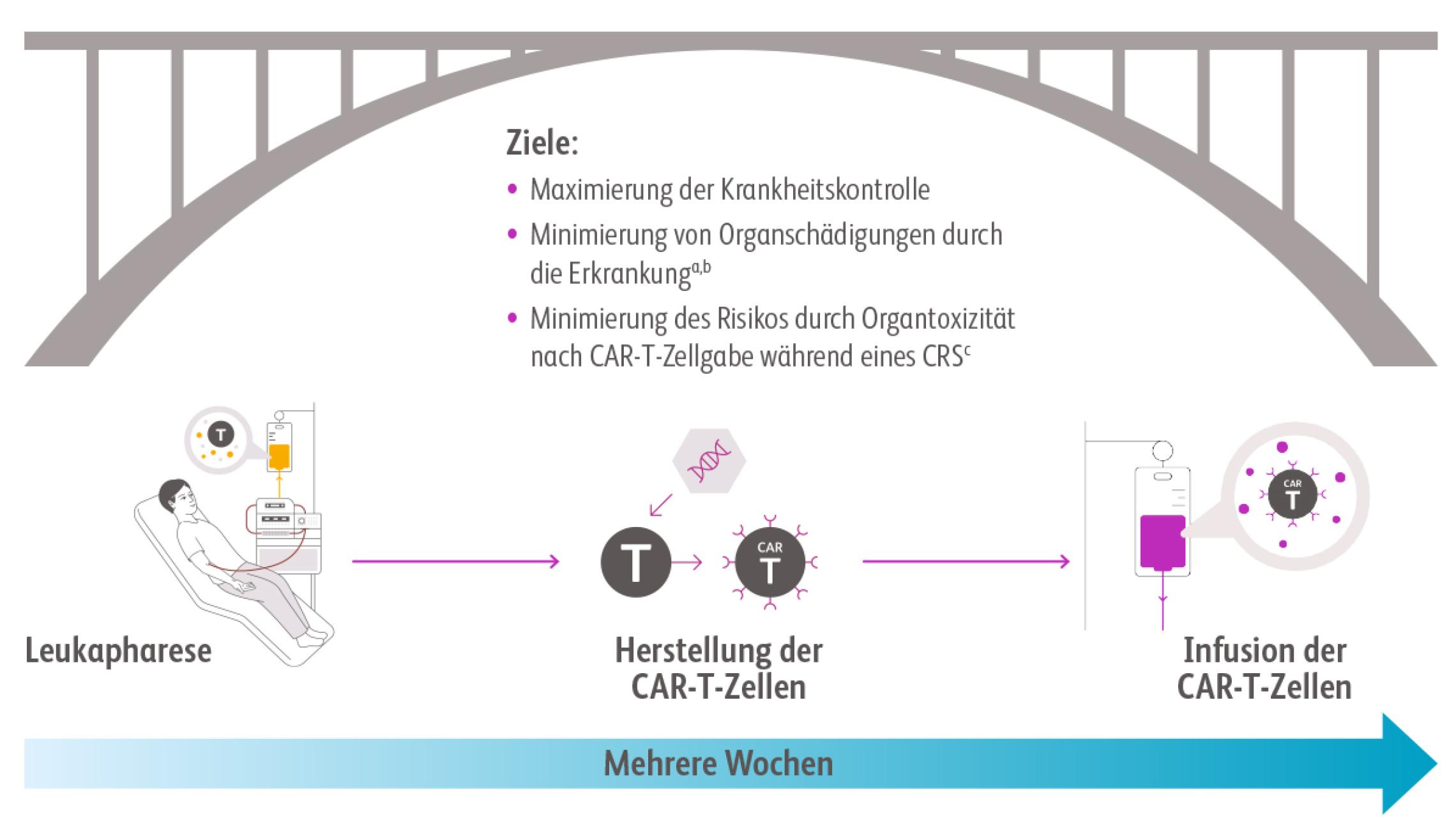 Aufgrund der Dauer des Herstellungsprozesses kann eine Brücken-Antitumortherapie (Bridging) zwischen der Leukapherese und der CAR-T-Zellinfusion sinnvoll sein.