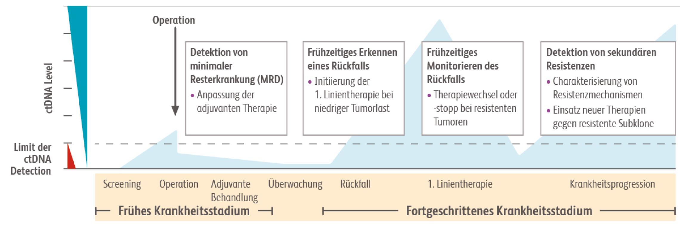 Insbesondere für die Verlaufskontrolle einer adjuvanten Therapie wird die Liquid Biopsy mittels ctDNA-Bestimmung als wichtig erachtet.